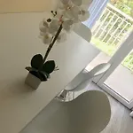 Apartment Piccolo Moderno Sulla In Centro Lido di Jesolo