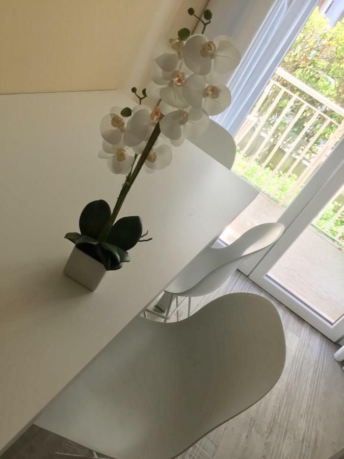 Apartment Piccolo Moderno Sulla In Centro Lido di Jesolo